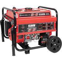 Electric Start Gas Generator with Wheel Kit, 6500 W Surge, 5000 W Rated, 120 V/240 V, 20 L Tank XI537 | Cam Industrial