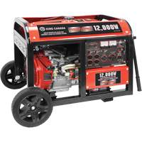 Electric Start Gas Generator with Wheel Kit, 12000 W Surge, 9000 W Rated, 120 V/240 V, 31 L Tank XI538 | Cam Industrial