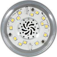 Ultra LED™ High Lumen Lamp, HID, 27 W, 3600 Lumens, Medium Base XI553 | Cam Industrial