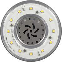 Ultra LED™ High Lumen Lamp, HID, 36 W, 4800 Lumens, Mogul Base XI556 | Cam Industrial