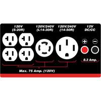 G&eacute;n&eacute;ratrice &agrave; essence/propane &agrave; d&eacute;marreur &eacute;lectrique Cam Industrial