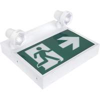 Running Man Sign with Security Lights, LED, Battery Operated/Hardwired, 12-1/10" L x 11" W, Pictogram XI790 | Cam Industrial