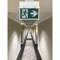 Running Man Sign with Security Lights, LED, Battery Operated/Hardwired, 12-1/10" L x 11" W, Pictogram XI790 | Cam Industrial