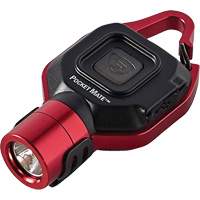 Pocket Mate&reg; USB Flashlight Cam Industrial