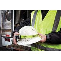 Intrinsically Safe Spot/Flood Headlamp, LED, 310 Lumens, 40 Hrs. Run Time, AAA Batteries Cam Industrial