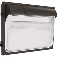 TWX3 Wall Luminaire, LED, 347 V, 14" H x 18" W x 5" D Cam Industrial