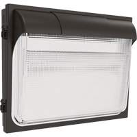 TWX3 Wall Luminaire, LED, 347 V, 14" H x 18" W x 5" D XI971 | Cam Industrial