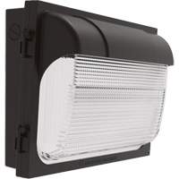 TWX Wall Luminaire, LED, 480 V, 9 W - 54 W, 14" H x 18" W x 5" D Cam Industrial