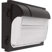 TWX Wall Luminaire, LED, 480 V, 9 W - 54 W, 14" H x 18" W x 5" D XI974 | Cam Industrial