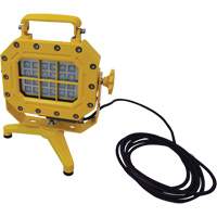 Explosion Proof Floodlight with Stand, LED, 40 W, 5600 Lumens, Aluminum Housing XJ040 | Cam Industrial