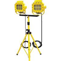 Explosion Proof Floodlight with Tripod, LED, 40 W, 5600 Lumens, Aluminum Housing XJ042 | Cam Industrial