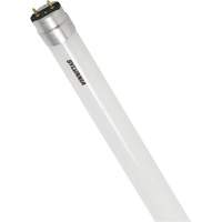 SubstiTUBE<sup>®</sup> Frosted Glass LED Bulb, 12 W, T8, 5000 K, 48" L XJ097 | Cam Industrial