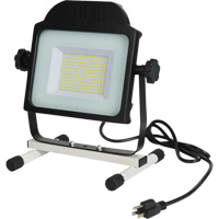 Floodlight, LED, 100 W, 10000 Lumens XJ197 | Cam Industrial