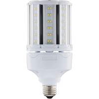 Ampoule HID de remplacement sélectionnable ULTRA LED<sup>MC</sup>, E26, 18 W, 2700 lumens XJ275 | Cam Industrial