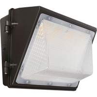 Non-Cutoff Wall Pack, LED, 120 - 277 V, 75 - 110 W, 9.33" H x 6.65" W x 14.5" D Cam Industrial