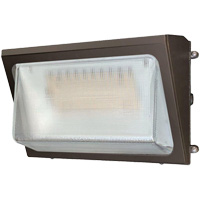 Wall Pack Light Fixture, LED, 120 -347 V, 40 W Cam Industrial