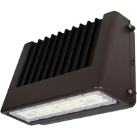 Wall Pack Light Fixture, LED, 120 V, 80 W, 6.5" H x 9.3" W x 14.4" D Cam Industrial