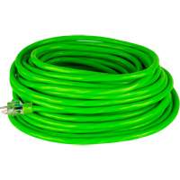 Cordon rallonge de calibre industriel, Toutes saisons, SJTW, AWG 10/3, 15 A, 50' Cam Industrial