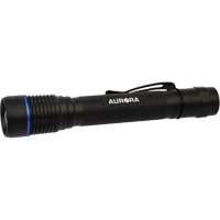 IPX7 Flashlight, LED, 250 Lumens, AA Batteries Cam Industrial
