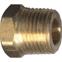 Hex Head Cored Plug, Pipe, 1/8" Dia., Brass Cam Industrial