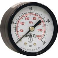 Economy Pressure Gauge, 2" , 0 - 200 psi, Back Mount, Analogue Cam Industrial