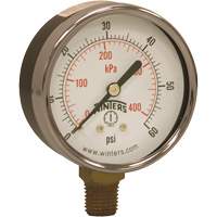 Economy Pressure Gauge, 2-1/2" , 0 - 60 psi, Bottom Mount, Analogue Cam Industrial
